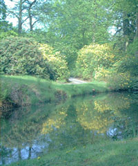 Schlosspark in Lütetsburg